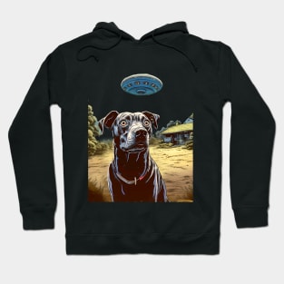 UFOs 2: My Dog Thinks UFOs Are Real on a dark (Knocked out) background Hoodie